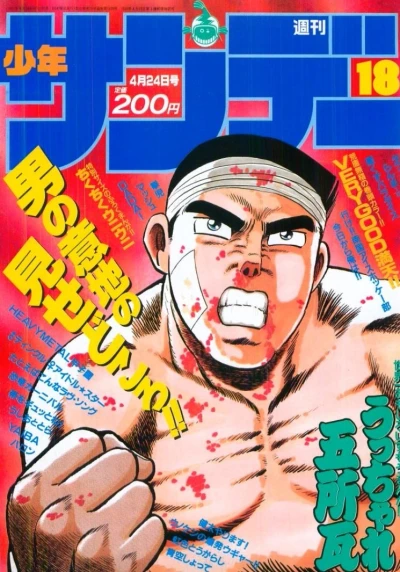 Cover of No. 18, 1991