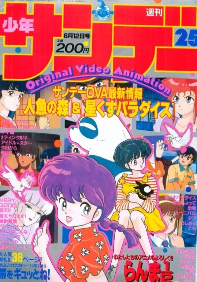 Cover of No. 25, 1991