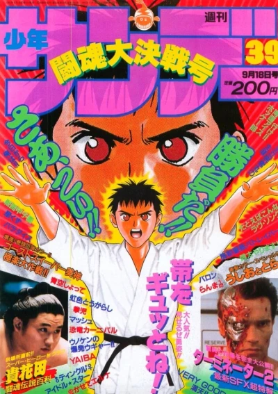 Cover of No. 39, 1991