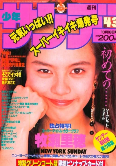 Cover of No. 43, 1991