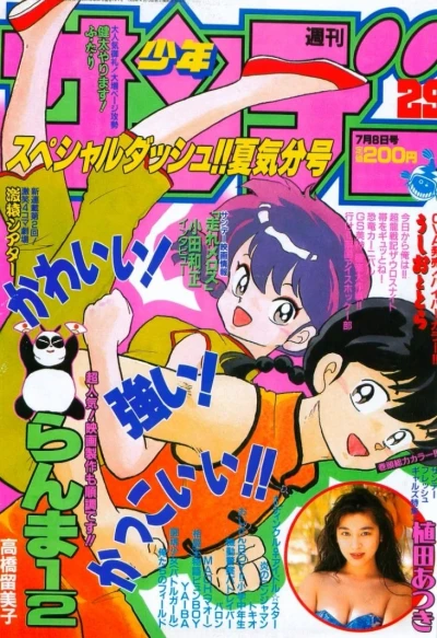 Cover of No. 29, 1992