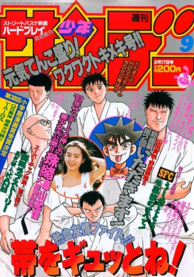 Cover of No. 9, 1993