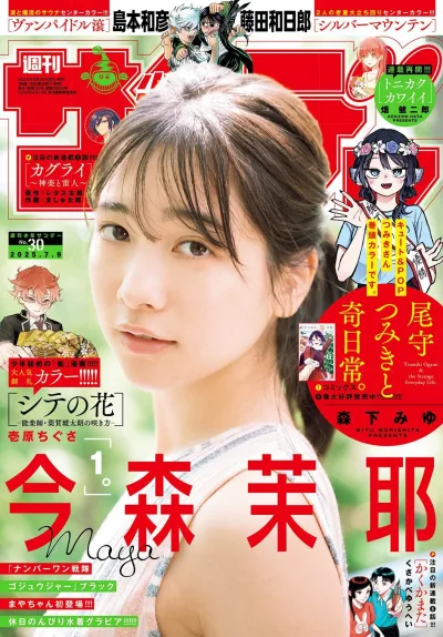 Cover of No. 30, 2025