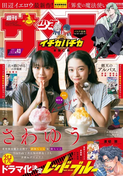 Cover of No. 43, 2024