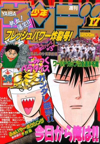 Cover of No. 17, 1993