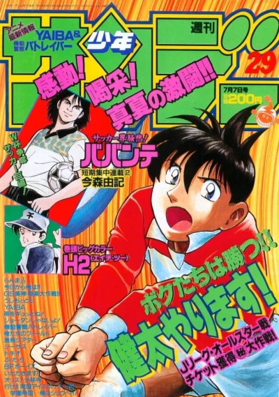 Cover of No. 29, 1993