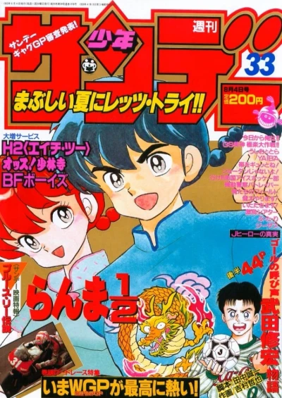 Cover of No. 33, 1993