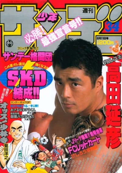 Cover of No. 34, 1993