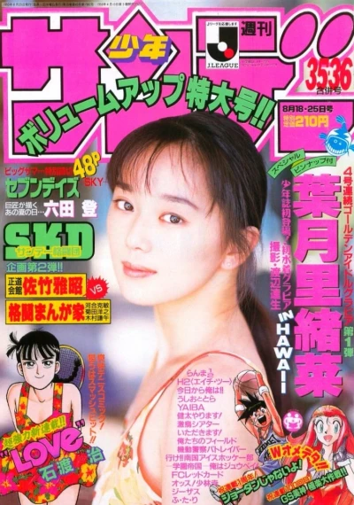 Cover of No. 35-36, 1993