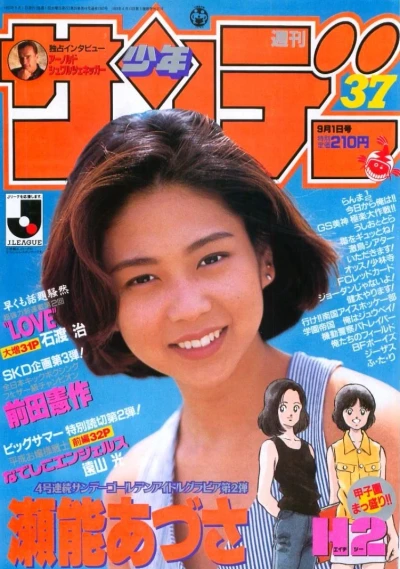 Cover of No. 37, 1993