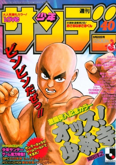 Cover of No. 40, 1993