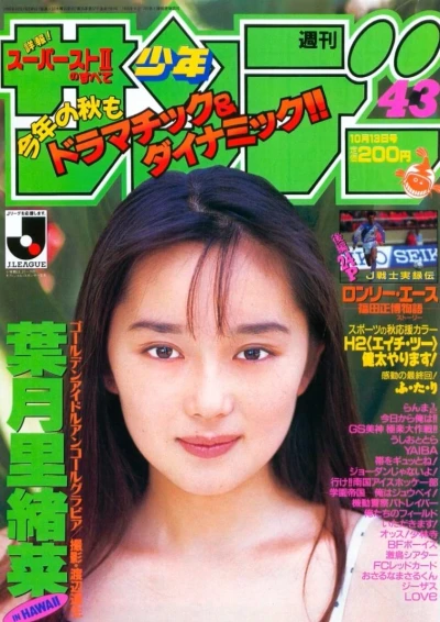 Cover of No. 43, 1993