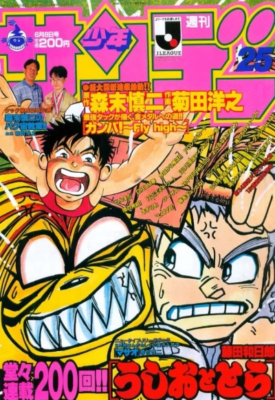 Cover of No. 25, 1994