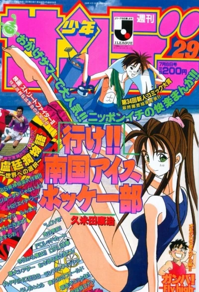 Cover of No. 29, 1994