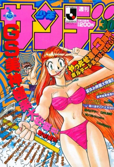 Cover of No. 30, 1994