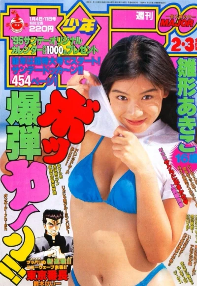 Cover of No. 2-3, 1995