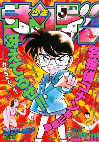 Cover of No. 13, 1995