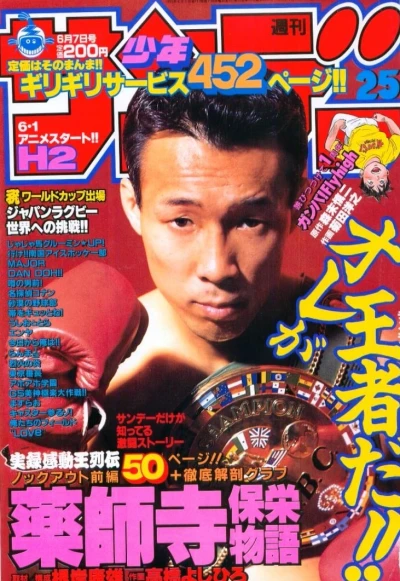 Cover of No. 25, 1995