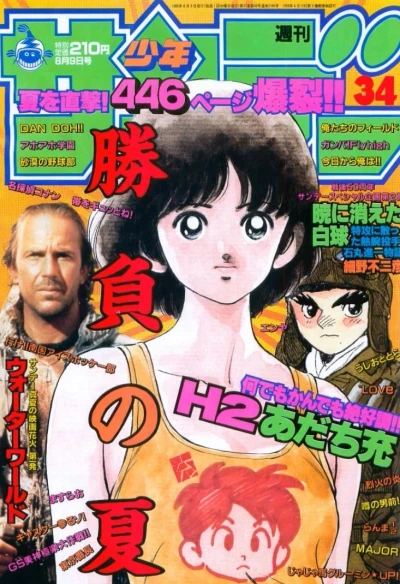 Cover of No. 34, 1995