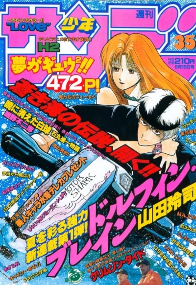Cover of No. 35, 1995