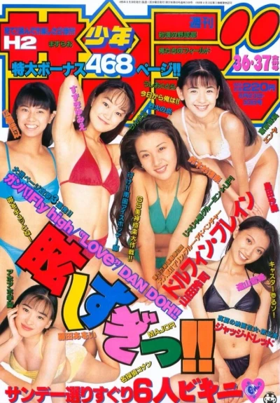 Cover of No. 36-37, 1995