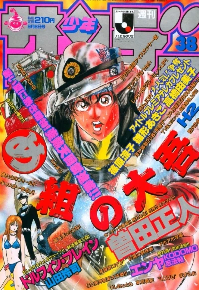 Cover of No. 38, 1995