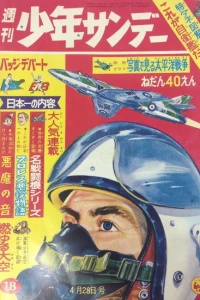 No. 18, 1963