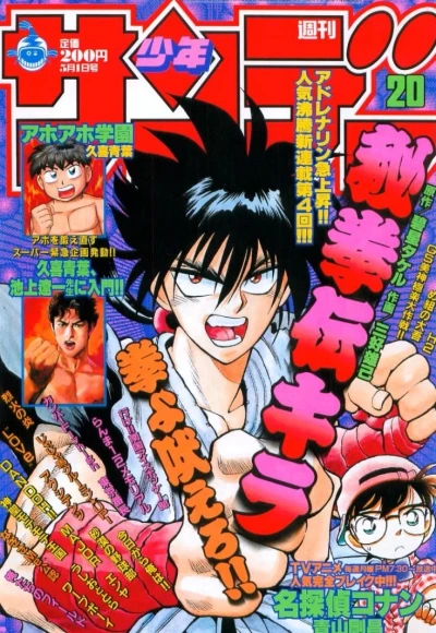 Cover of No. 20, 1996