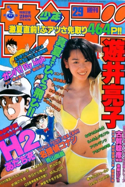 Cover of No. 29, 1996