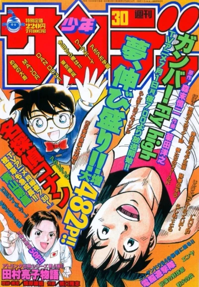 Cover of No. 30, 1996