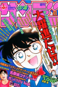 No. 41, 1996