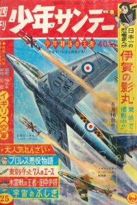 No. 25, 1963