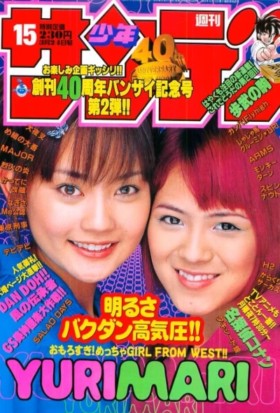 Cover of No. 15, 1999