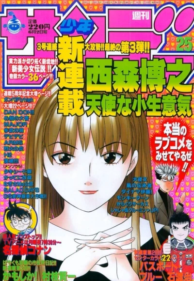 Cover of No. 25, 1999