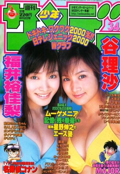 Cover of No. 34, 2000
