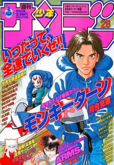 Cover of No. 28, 2001