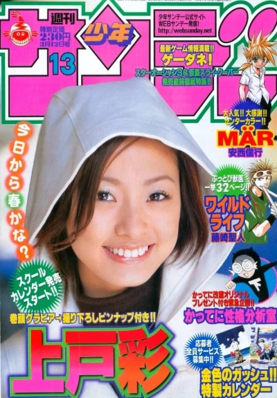 Cover of No. 13, 2003