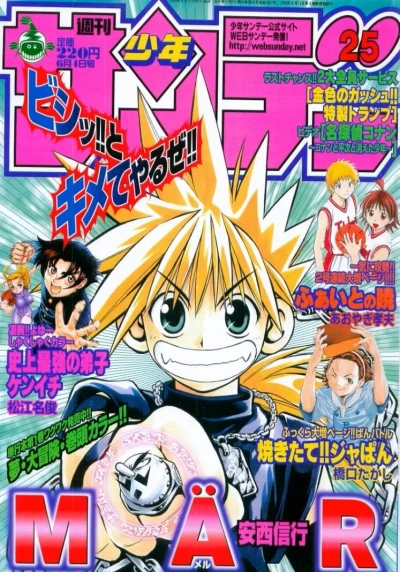 Cover of No. 25, 2003
