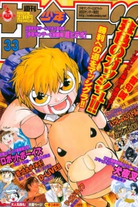 No. 33, 2003