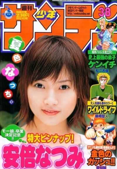 Cover of No. 38, 2003