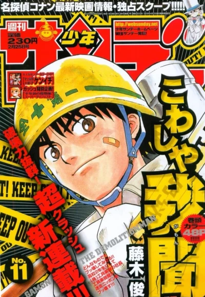 Cover of No. 11, 2004