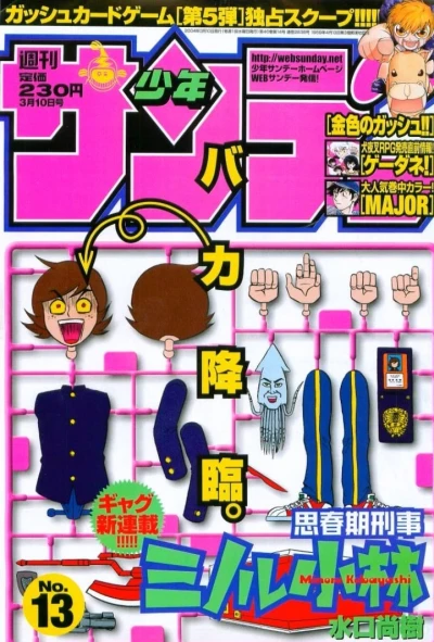 Cover of No. 13, 2004