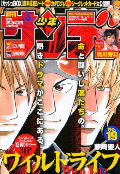 Cover of No. 19, 2004