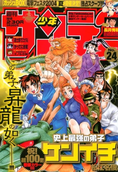 Cover of No. 24, 2004