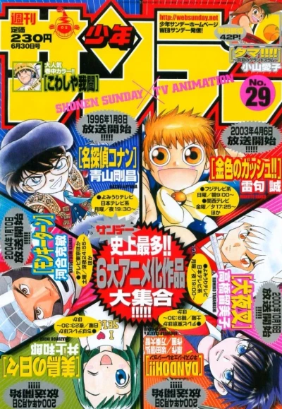 Cover of No. 29, 2004