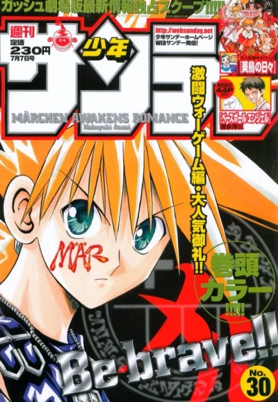 Cover of No. 30, 2004