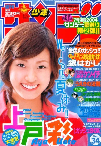 Cover of No. 34, 2004