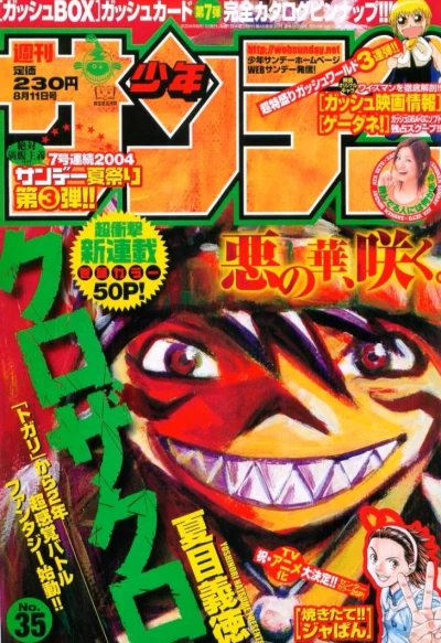 Cover of No. 35, 2004