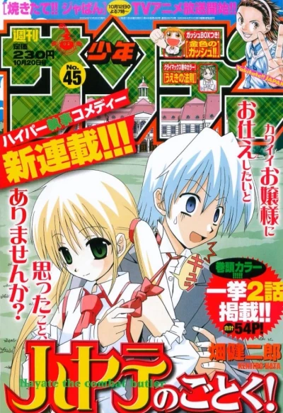 Cover of No. 45, 2004