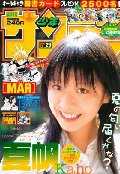 Cover of No. 29, 2006
